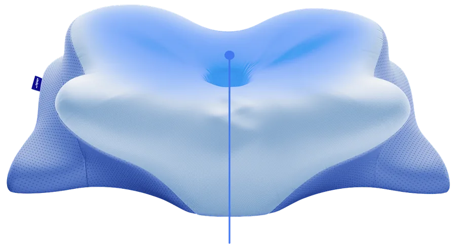 Back support wings highlighted on the pillow